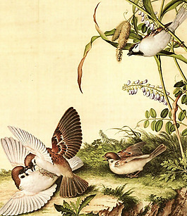 位圖 藝術(shù)效果 水彩 中國風 動物 免費素材