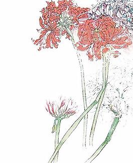 韓國(guó)PSD精美花紋矢量背景模版268