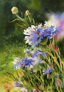 位圖 植物圖案 寫(xiě)意花卉 花朵 免費(fèi)素材