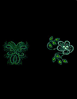 燙鉆 植物 花 花朵 免費(fèi)素材