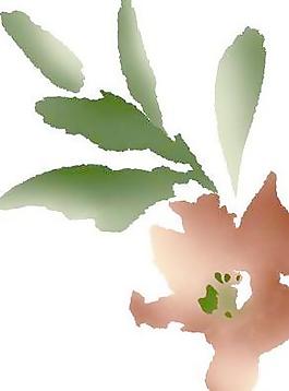 韓國(guó)PSD精美花紋矢量背景模版203