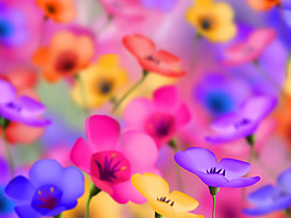 位圖 植物 花朵 寫(xiě)實(shí)花卉 超高清 免費(fèi)素材
