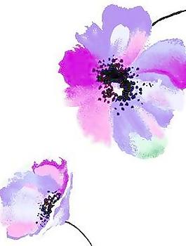 韓國(guó)PSD精美花紋矢量背景模版200