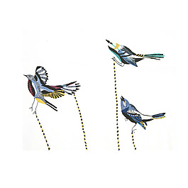 繡花 動(dòng)物 鳥(niǎo) 免費(fèi)素材