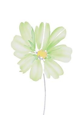 韓國(guó)PSD精美花紋矢量背景模版192