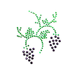 燙鉆 植物圖案 樹葉 葡萄 免費素材