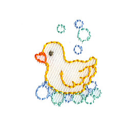 繡花 動物圖案 鴨子 氣泡 免費素材