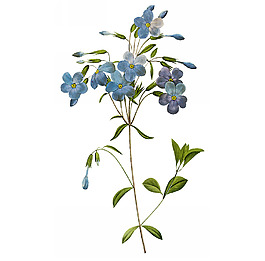 位圖 植物圖案 寫意花卉 花朵 免費素材