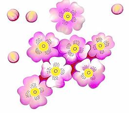 韓國PSD精美花紋矢量背景模版163