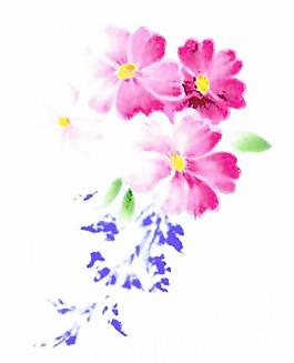 韓國(guó)PSD精美花紋矢量背景模版162