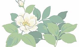 韓國PSD精美花紋矢量背景模版160