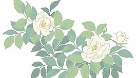 韓國PSD精美花紋矢量背景模版159