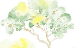 韓國PSD精美花紋矢量背景模版145