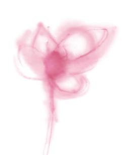 韓國PSD精美花紋矢量背景模版135