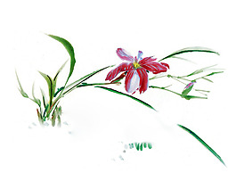位圖 植物圖案 寫意花卉 花朵 免費(fèi)素材