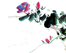 位圖 植物圖案 寫(xiě)意花卉 花朵 免費(fèi)素材