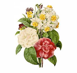 位圖 植物圖案 寫意花卉 花朵 免費(fèi)素材