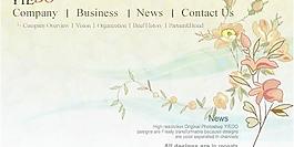 韓國(guó)PSD精美花紋矢量背景模版21