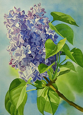 位圖 植物圖案 寫意花卉 花朵 免費(fèi)素材