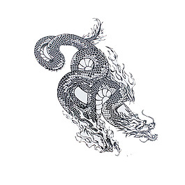 位圖 藝術(shù)效果 手繪 動(dòng)物 龍 免費(fèi)素材