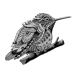 位圖 插畫師 BioWorkz 美國 動物插畫 免費素材