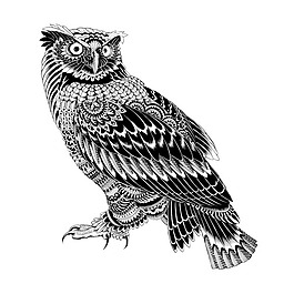 位圖 插畫師 BioWorkz 美國 動物插畫 免費素材