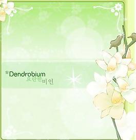 2007精美鮮花邊框14