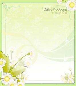 2007精美鮮花邊框13