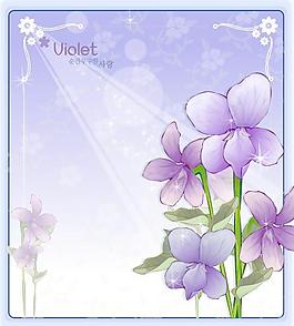 2007精美鮮花邊框11