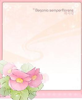 2007精美鮮花邊框10