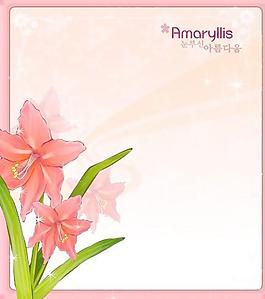 2007精美鮮花邊框07