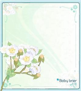2007精美鮮花邊框05