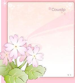 2007精美鮮花邊框01
