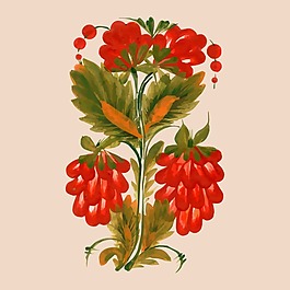 印花矢量圖 植物 花朵 色彩 黑色 免費素材