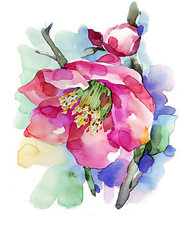 位圖 植物圖案 寫意花卉 花朵 免費素材
