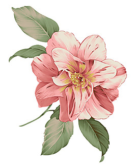 位圖 PSD 寫意花卉 花朵 免費(fèi)素材