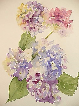 位圖 植物圖案 寫意花卉 花朵 免費(fèi)素材