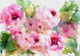 位圖 植物圖案 寫意花卉 花朵 免費(fèi)素材