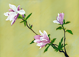 位圖 植物圖案 寫意花卉 花朵 免費(fèi)素材