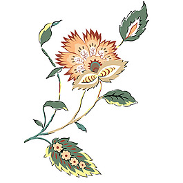 位圖 PSD 寫意花卉 高清 免費(fèi)素材