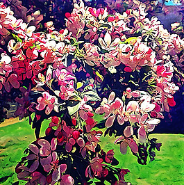 位圖 植物圖案 寫意花卉 花朵 免費素材