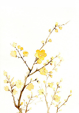 位圖 寫意花卉 藝術(shù)效果 手繪 水彩 免費(fèi)素材