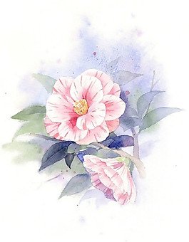 位圖 寫意花卉 藝術(shù)效果 手繪 水彩 免費素材
