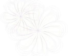 精美矢量花纹176