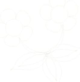 精美矢量花纹155