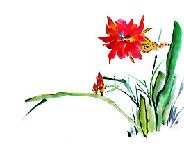 位圖 植物圖案 寫意花卉 花朵 免費素材