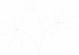 精美矢量花紋138