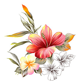 位圖 寫意花卉 植物 花朵 免費(fèi)素材