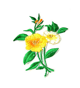 繡花 植物 花朵 免費素材