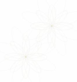 精美矢量花纹124